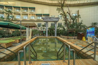 吹著海風，泡著溫泉，這個夏天有點不一樣 人工造浪設備的奇妙體驗